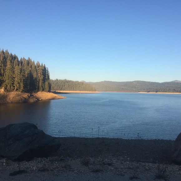 Meet your Posher, Lucas - Picture 1 of 1